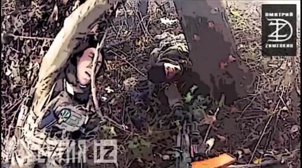 � ������ ��������� ����� � ���� �������� ��������