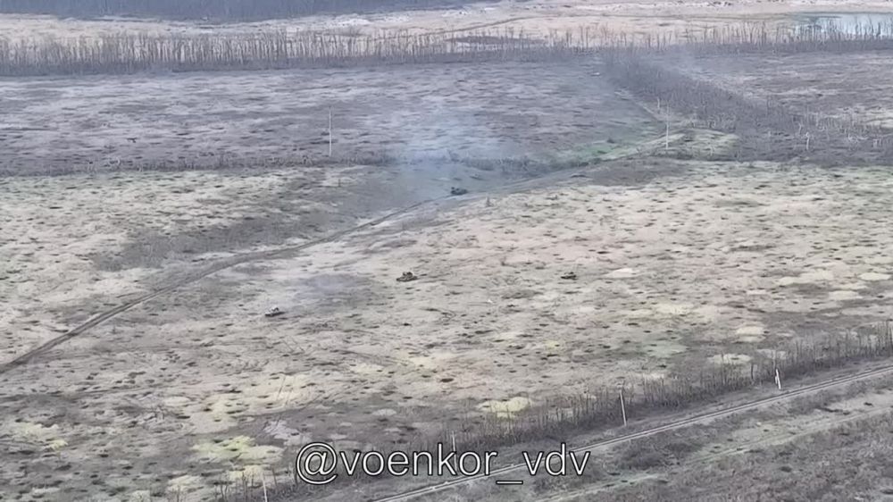 ���� �������: ���������� ����������� � ����������� ��������� ������� ������� ����� � ������ �� ������ � �������� ���������� ��������