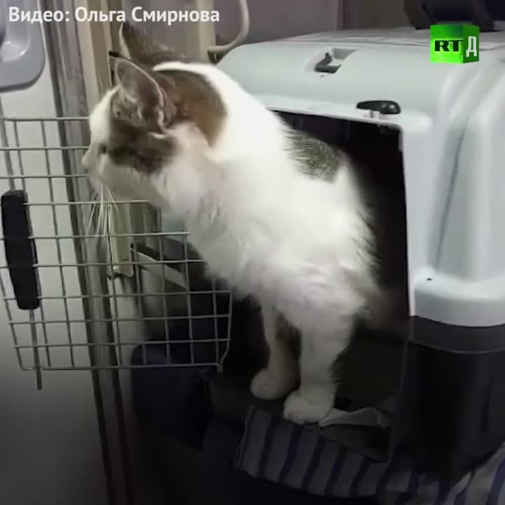 14 ����� ��������� �� ������� �� ����