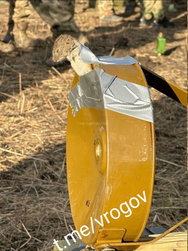 �������� �����: ������� ��� �������� ����������� ����� ��� ���� � ����������� ��������