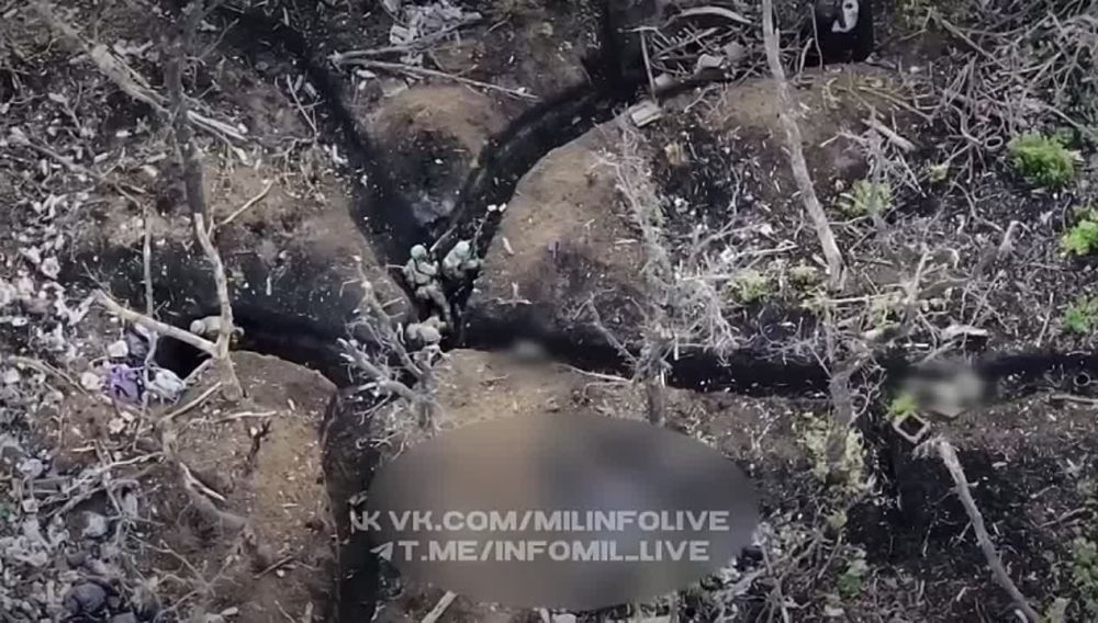 ������� �������: �� ������ ������ �� ������������ �� ������ (�������� � ��), ������� �������� ���������� ������� ���������� ����� �� ����������� �����������