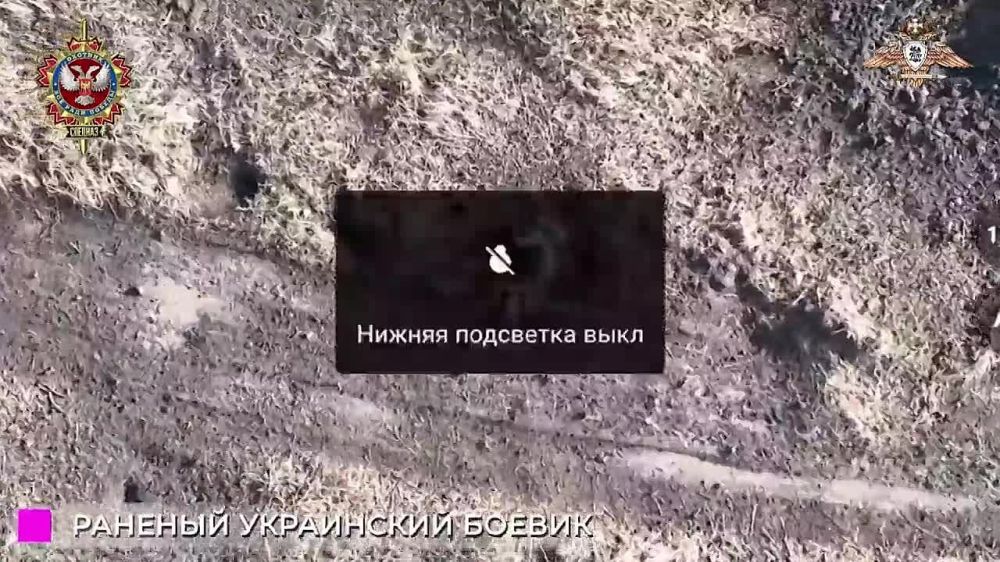 ������� �������: ����� ������� ����� � ������������ �����������