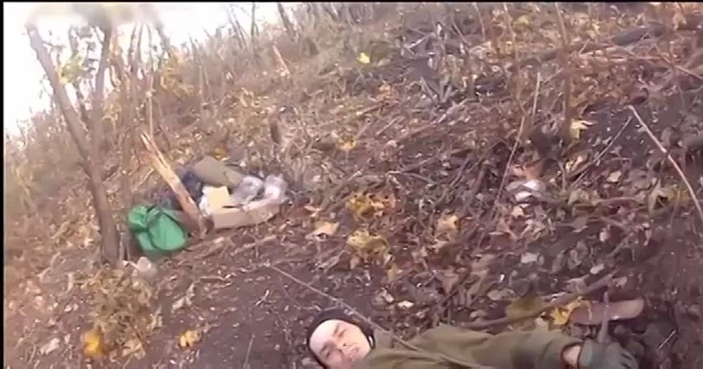 ������ ����������: ���������. ���� ����������� ������� ����� � ���� ���. ��� ����� ���� ����� �����������