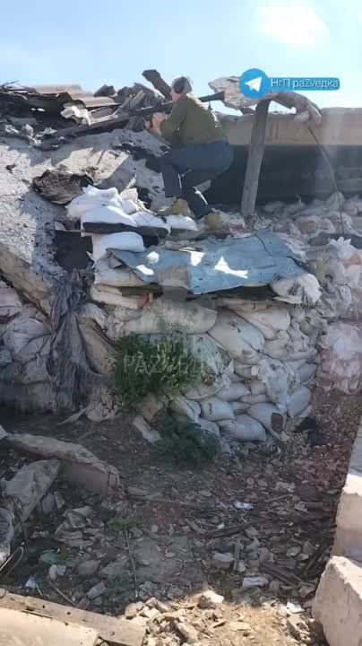 ��������� ����� � ����������� �����������, �� ������ �����-�� �����������, ��� ���� ������� ����� ������� ������ � �����, ��� � �������� ���� � �� ��, ������ ��� �������� ������ � ��������, ������ � �������� � � ��� �� ��� ����������� �����������