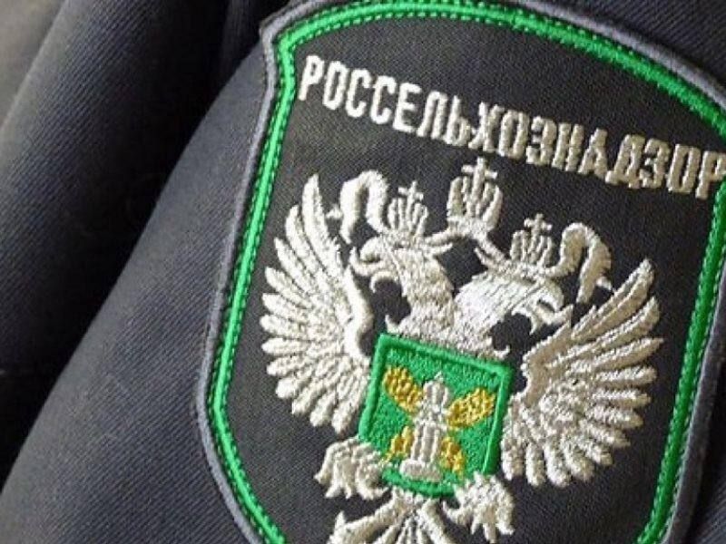 ����������� ����������������� �� �������� �������� ���������� � ������ ������������ ���������������� �������� (�������) �...