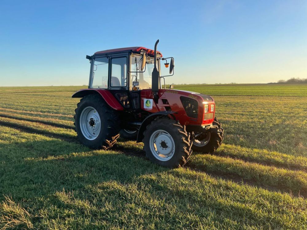 ����� ����������: � ������� ���� ����� 65 �������������������� ����������� ���������� ������ �������� ���� ��������������