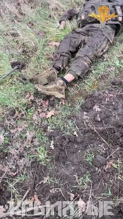 ������ �������: ���������� �� ������� ���������� ����� �� ����������� �����������