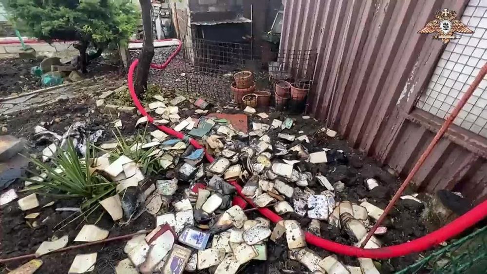 ���� �������: ����������� ����� ������� ����� �������� �� ����