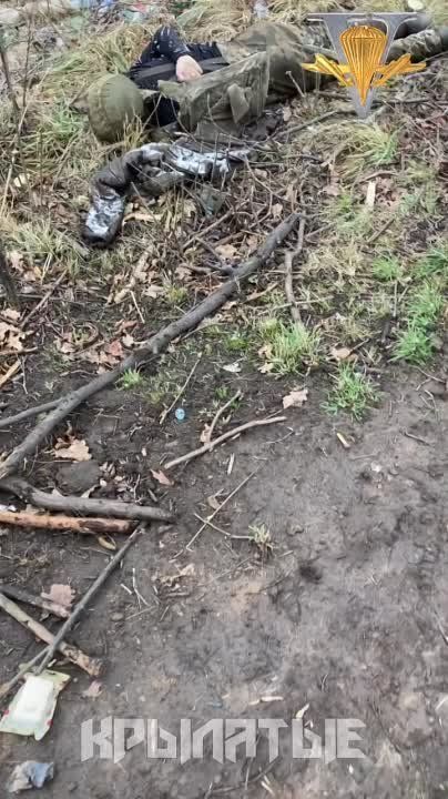 ��������� �������� �� ����������� �����������