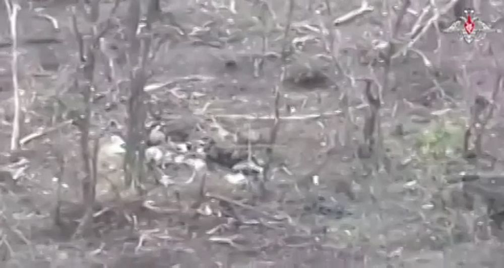 ������� �������: ���������� ��������� ������� ������ ���������� ���������� ���������� ��������, ����������� � ������ ��������� �� ����������� �����������