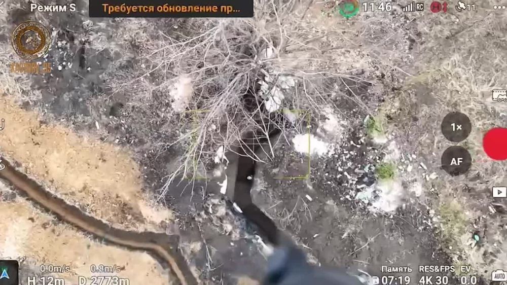 ������ �������: ����� "��������" �� �������� "�����" ��������� � ������� 4-� ������� 2-�� ���������� ������� �� �������� ������� ��������� �������� ���������� ���������� ��������