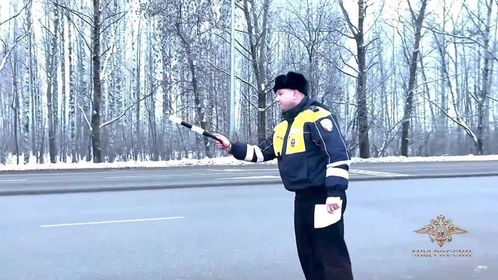 Видеокомментарий официального представителя МВД России Ирины Волк