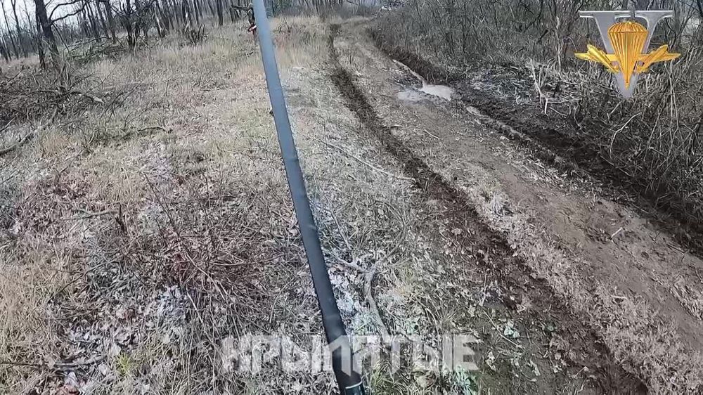����� �����: ����������� �����������. ����� ������� ��������� ������ ����������� � ���� ��������� �����������. ���������� - ��������� - ��������! ��� ����� ������ ��� ������������ �����
