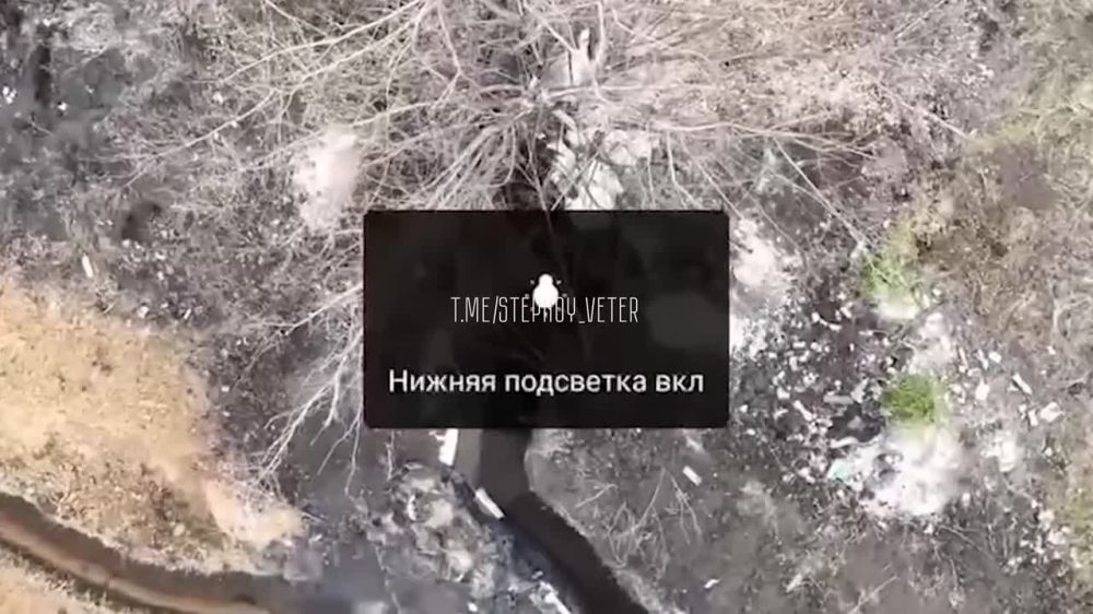 ����� �����: ������ ������� ��� ������ 4 ������� �� ������ �� 80 ����� ��� � ������ ���������
