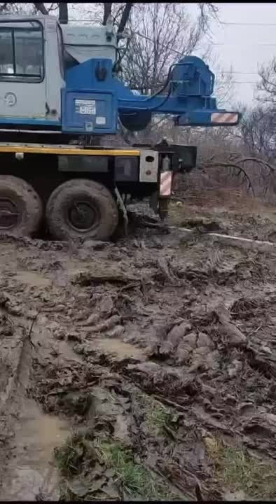 ��� ����������� �� ��� ������ � �������� ������� �������� ����������, ��������� ����� ����