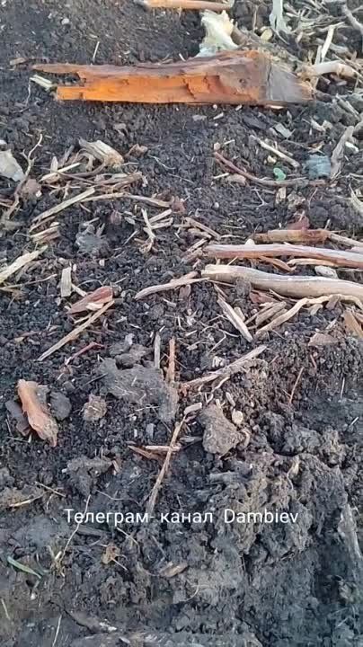 ������ �������: ������� �����. ������������ ������������ ���������� ������������ � ������ ����������