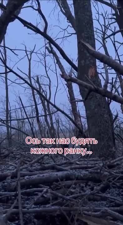 ������� ���������: ��� ��� ���� ����� ��������� ��������������� �������� �� ����������