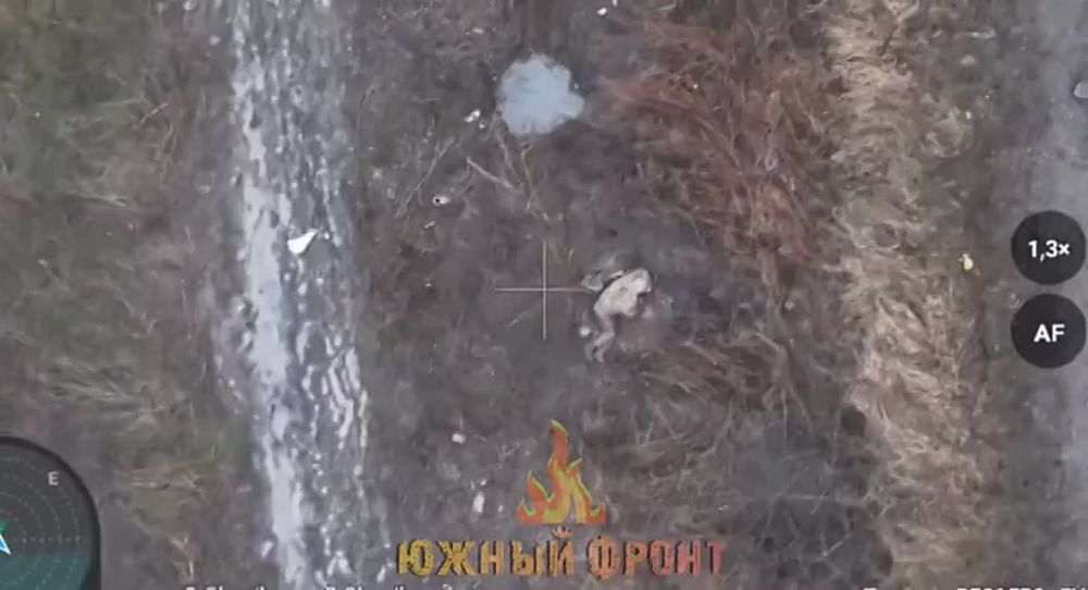 ����� � ���������: ������� ������� ���������� ������ ��� �� ����� � ����� �� � � ���������