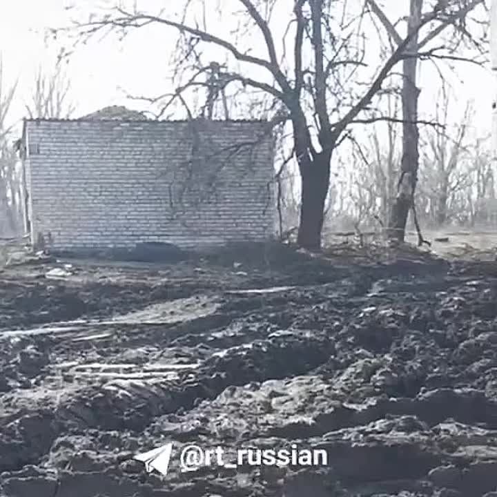 ������ ������ � ��������� ����� ������ ���������� ����������� �� ��������� �������� ������, �������� ������� �������