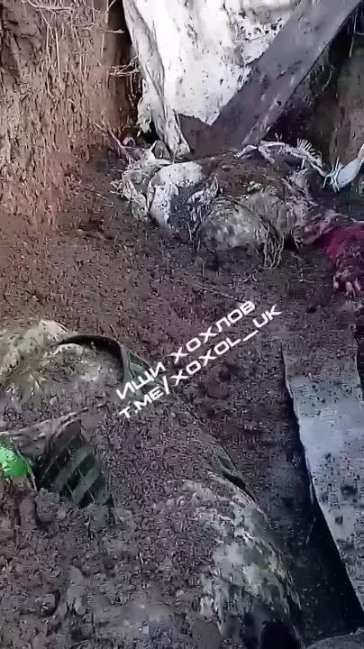 ����� �����: ��������� ����������� ����� � ����� ��������
