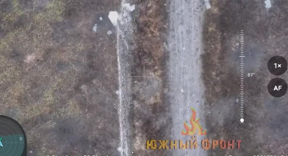 ������� ����� ������ �������� "����"
