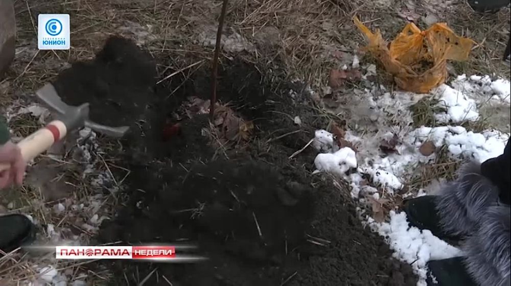 "Сад памяти " в ДНР. 03.12.2023, "Панорама Недели с Мариной Лысенко "