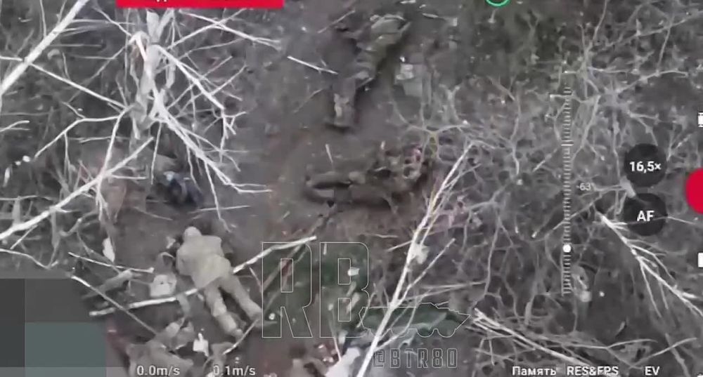 ������� �������: �� ������ ���������� ����� ���������� ���������� � ������� �� ���-������ � ��������� �� ����������� �����������