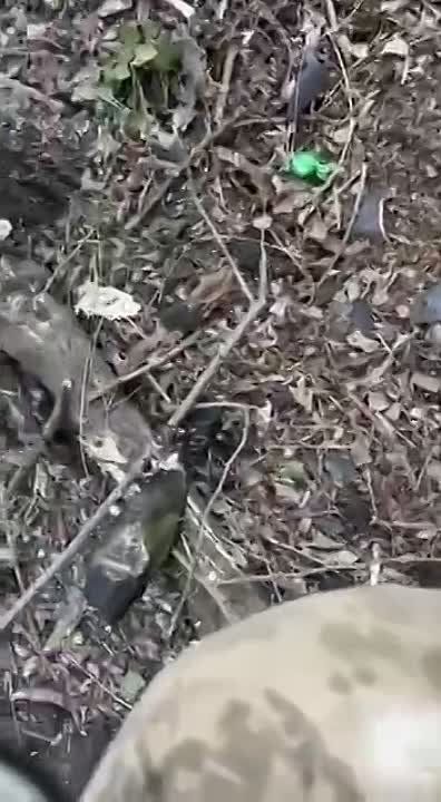 ������ �������: ������� �� ����� ��� ������ ������ ������������� � ������������ �������� ���������� ������������