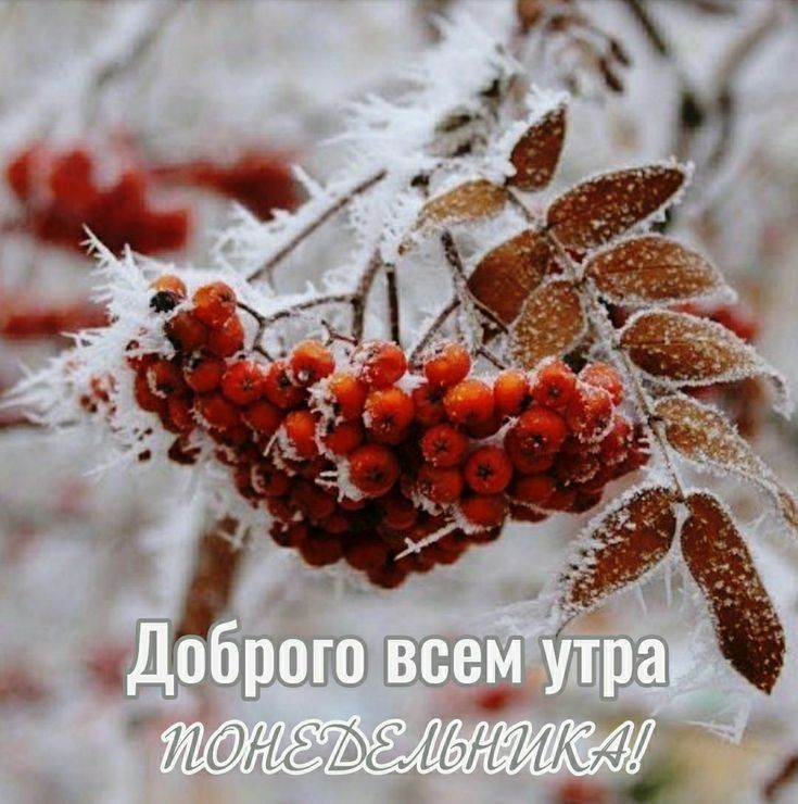 ������ �������: ������ ����, ���������!