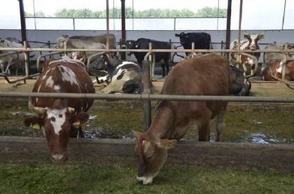 � ��� � ��������� ���� ������������� ��� �������� �������-�������� �����