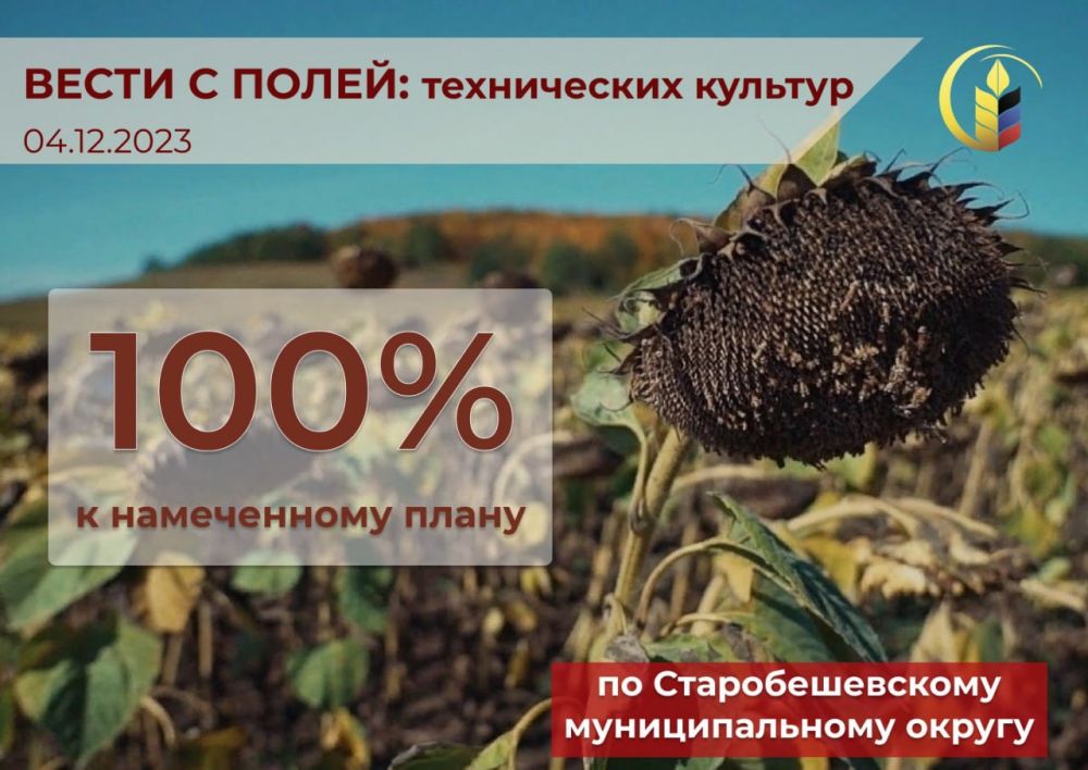 ��������� ��������: � �������������� ������������� ������ ����������� ������ ����������� ������� - �������������