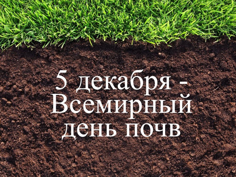 ��������� ���� ���� (World Soil Day) ���������� �������� 5 �������, � ����� ��������� �������� ���������� � �������� ��������� �������� � ��� ����, ������� ��� ������ � ���������� ��������� � ����������� ����� �������������� ��������