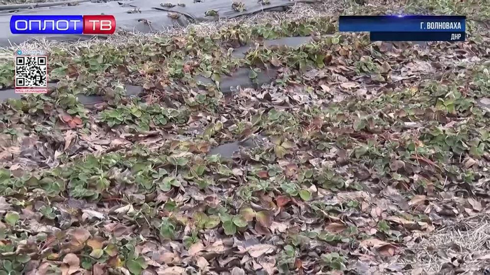 ������ ������� � ���� ���� ����� ������