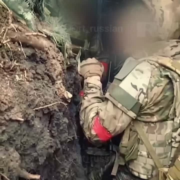 ��������� ���������: ����� � ����������� �����������, ������ �� ����