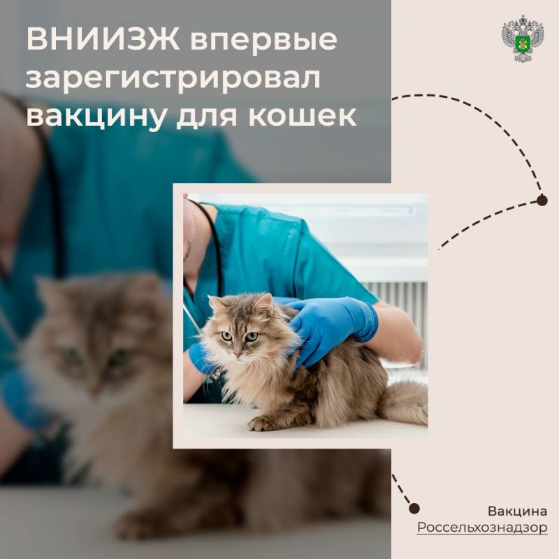 � ������ ����� ���� ���� ������ƻ ���� ���������������� ����� ������� ��������� PCH� ��� �����, ������� �������� �� �������������, ������������ � ��������� ������������