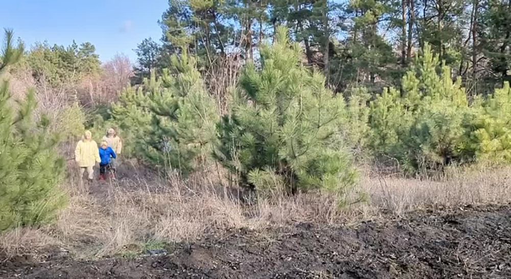 � ��������� ������� ����������� �� ������ �������� ����������