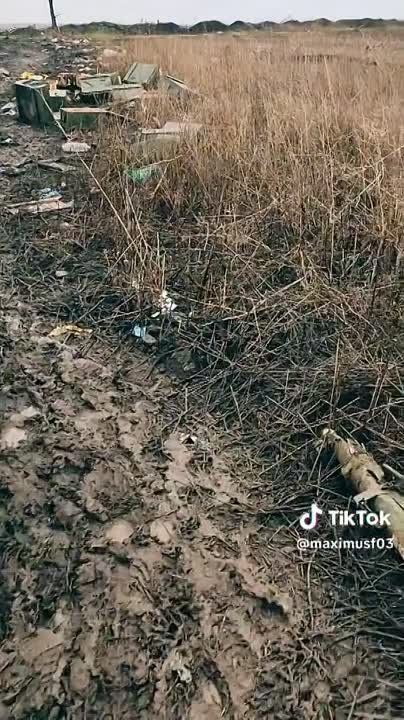 ���� ��������: ���������, ������������ ��������, ��������� ��� ��������� �������� ������������ ��������� ������ ��� �������
