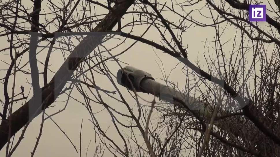 ���������� ������� ���������� ������� ����� ����������� ���