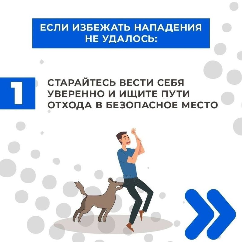 ��� ����� � ������������� ������� � ����� ��������� � ��������� �������� �������� � ������������ ������ ��� ������� ��������� �� �����: 4-28-00; 113; +7 949 325 36 47. �������� ��������� ��������� � �������� � ���� ������