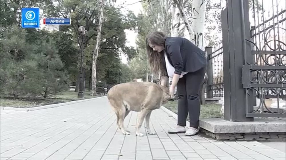 "���� ���� �� �������, ���� �� � �� � ����� ������� ������� ���-�� ������!" ��������� ���� �������� � ��������� ������ ������ �������� ����������� ���� � ����� ����������