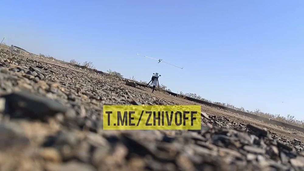 ������� �����: ��������� ��������������� ������� ���������� ������� ����������� ������