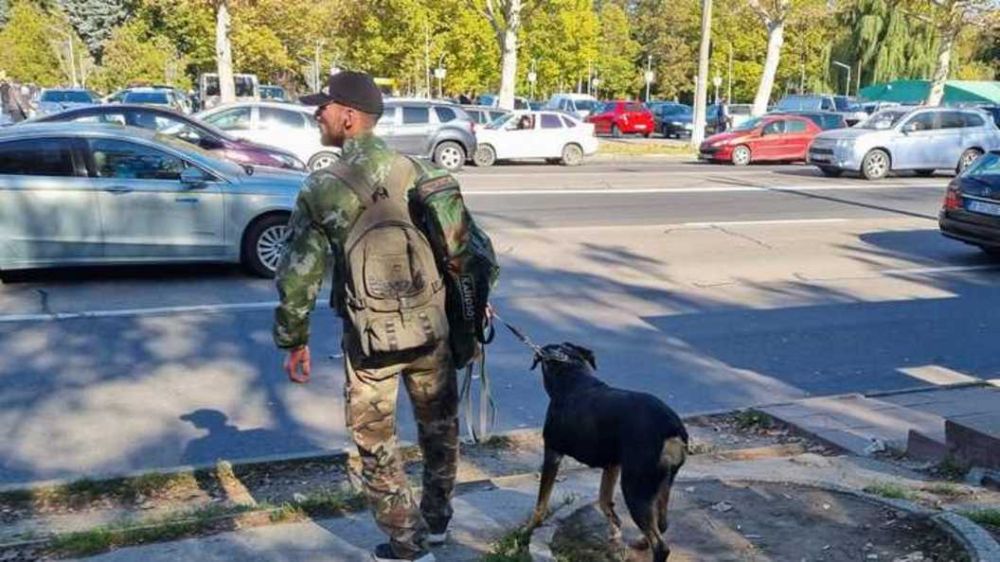 �������� � �������� 7 �������: ����� ������ ����� �� ���� ����������� - ������� � ������