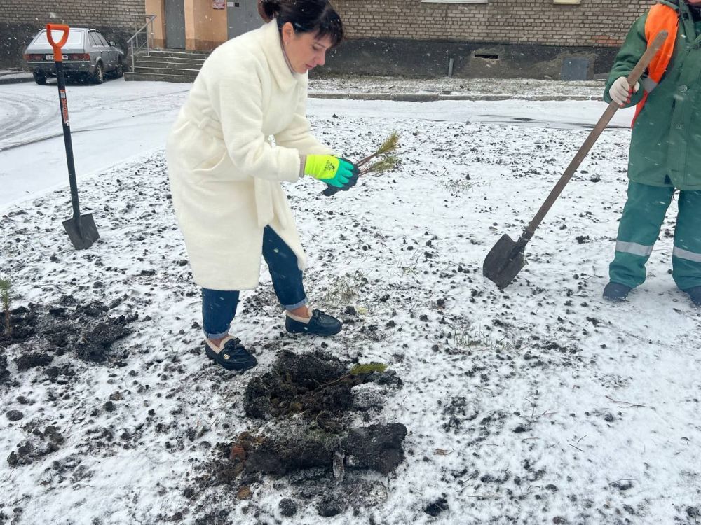 ������� ���������: �������, 7 �������, � ������������ ����� "������ �������", ��������� � ��� ��� "����������� �������� ���������� ������ �. �������" � � ��� ��� ����������� ���������� ������ ������� ������ �� ������� �������� ������