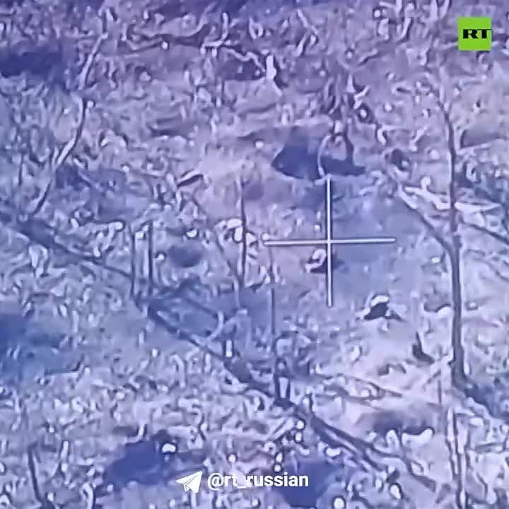 �������� �� ������. ���� ���� �����, ��� ���� �������. ��, �� �**!� ������ ���������� ���������� ���� ����� ��������� ����� �� ����������� �� ���������� �����������: �� �� ���� ��������� � ������� � �������