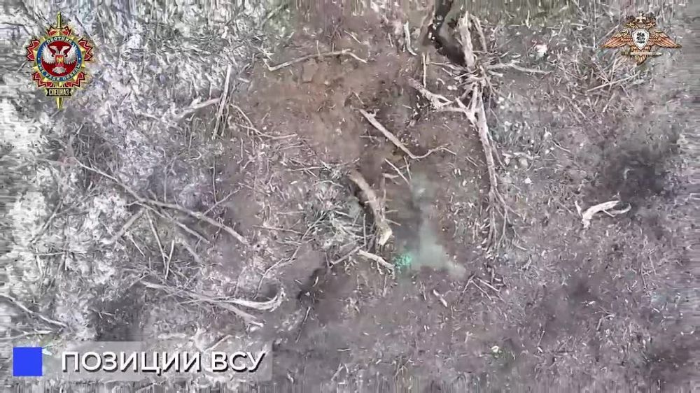 ��������� ���������: ��������� ������ ������ ������������ ������� �� ����������� �����������