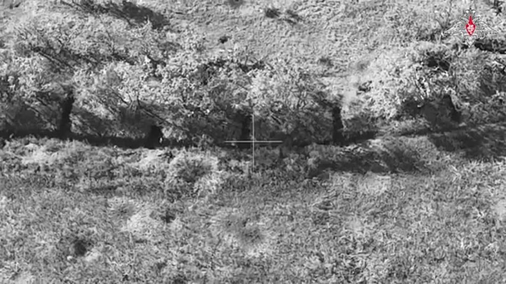 ������� �������: � ����� ������� ������� � ������������ �����������