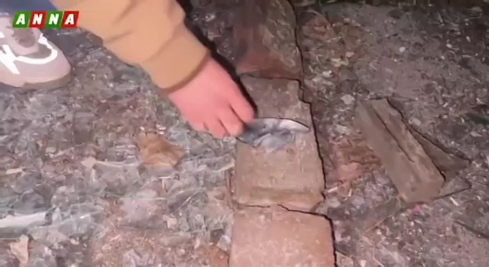 ����������� ���� ������� ��� ������ �������� ����� �� ����������� �������� �������