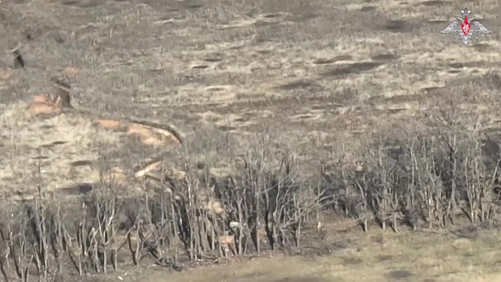 ���������� ��: ������ ��������� �������: ������� FPV-������ ��� ���������� ������������� ��� � ������� ��� �����������