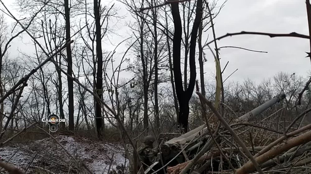 ��������� �������: ������� �������.. ���� ������, ���������� ������, ����� � ������� ����� ������� (��������� ������ ��� ����������). ���� ������ �����, ���� �����. ��� ����� ������ � �������������� ������� ��� ������. � ����� ������ ��� ���