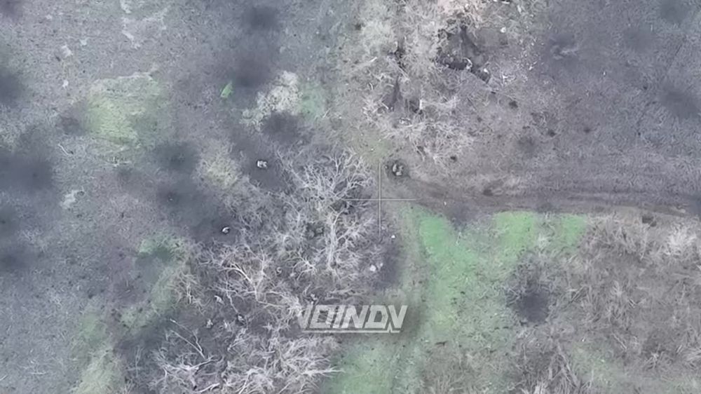 ����� ������ ������� ����� ������� ����������� ������� �� ����� ��������� � ���